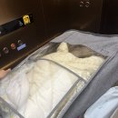 휴베이스명인약국 이미지