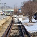 광판팔뚝김밥김유정역점 이미지