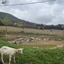 신우목장 이미지