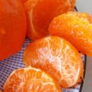 한길농장 이미지