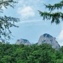마음 큰부자 되십시요 .^^ 이미지