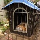 자명식당 이미지