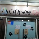 모모몽 애견까페 이미지