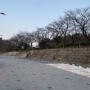 7PC | 단지 소전골에 칼국수와 곤드레죽•육회물회도 즐길 수 있는 한식 맛집, 효은옥 추천 후기 (+웨이팅 꿀팁)