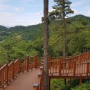 전라남도 유아숲체험원 이미지