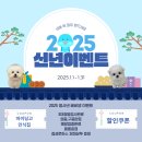 베비댕 이미지