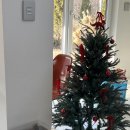 마이포레중미산 이미지