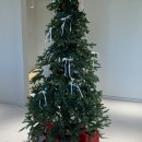 김해시 경상남도 김해시 진영읍사무소 | 김해 진영 대형카페 진영신상 카페 몬리라 내돈내산 후기