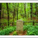 느리게 걷기 이미지