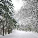 여수하늘목장 이미지