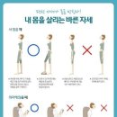 피트리움 이미지