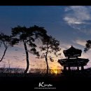 오리정 - 금천구 | 오리정