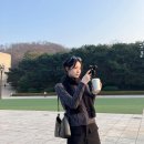 신시아