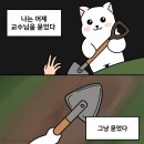 노벰버레인 네이버블로그