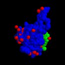 Insulin-like growth factor 1 이미지