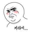 왈왈펫카페 이미지