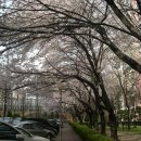 고속터미널앞 이미지