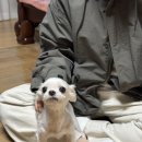 파리바게뜨 대구대봉점
