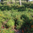 가야농장 이미지