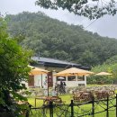 청길강변로 이미지