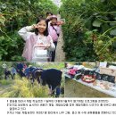 꽃길을 따라서 체험학습장 이미지