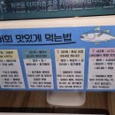 인생술상 티스토리