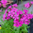 THE채움공인중개사사무소 이미지