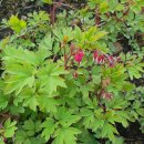 우리집농장 이미지