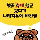 호수피드 | 석촌호수 벚꽃 보러 갔다가 실패한 후기, 준비물과 대책 총정리