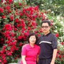 장미의거리 입구 이미지