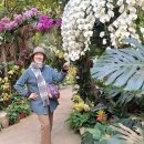 하안노인종합복지관 이미지