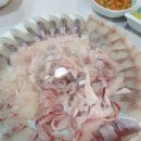 신가음정횟집 | 창원맛집/신가음정횟집에서 낮술한 솔직 후기