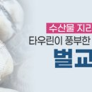 보성계란 이미지