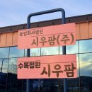 적토마법인