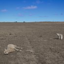 (주)브레이드 이미지