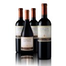 까사데일 이미지