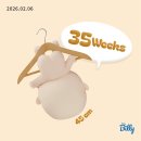 운중로166번길 이미지