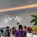 (주)무한씨,엔,디 | [육아일기] D+300 ~ 306(분태기?밥태기?/벚꽃 봄나들이/감기몸살/10개월 아기/문센라이프)