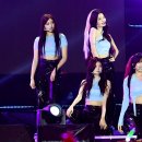 환호종합