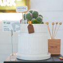태양골프존파크