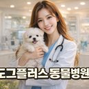 도그플러스 동물병원(미유펫 대구점) 이미지