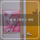 현대컴퓨터세탁 | 가평 에그하우스 게스트하우스 숙소 후기 청결하고 아담하여 정감이 가는 곳