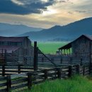 자연과 건강 이미지