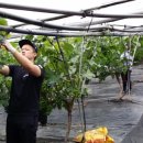 대신동주민센터 이미지