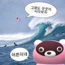 정진월농장 | [잡담] 2024년 회고, 2025년 다짐