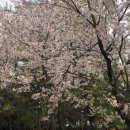 원적산공원 이미지