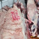 비거농장 이미지