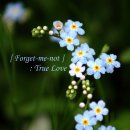 그림일기 이미지