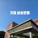 (주)아이큐비 | 거제 삼성호텔 4인가족 내돈내산 장단점 솔직후기