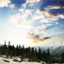 내일식당 이미지